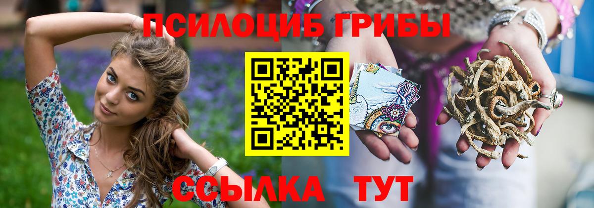 Галлюциногенные грибы Magic Shrooms  что такое наркотик  Железногорск  Псилоцибиновые грибы MAGIC MUSHROOMS  Вход с VPN 